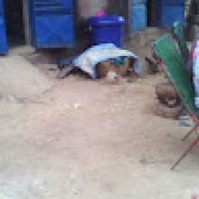Photo-de-Kante-Mahamadou