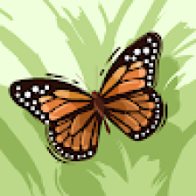 Photo-de-Mohamed-Allout