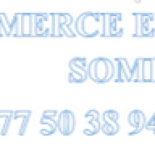 Commerce Electronic SOMBIE