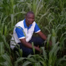 Photo-de-Boama-Ouoba