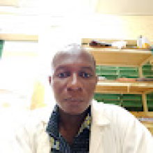 Photo-de-Moussa-Birba