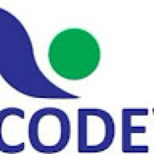 Photo-de-ECODEV-ECODEV
