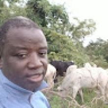 Photo-de-Vieu-Sangaré