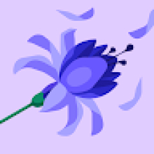 Photo-de-Nikiema-Louis