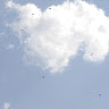 Photo-de-Lacina-SORGHO