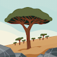 Photo-de-Polenli-Tindambiga