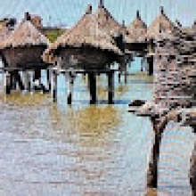 Photo-de-Simon Pierre-Diouf