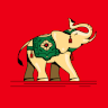 Photo-de-Armel-Pouahoulabou