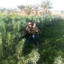Fattah EL HAMOUI