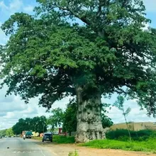 Photo-de-Karim-Congo