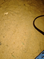 Photo-de-Agali-Sambo 