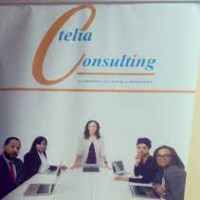 Telia Consulting
