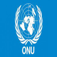 Organisation des Nations Unies (ONU)
