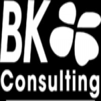 Cabinet BK-CONSULTING BKC