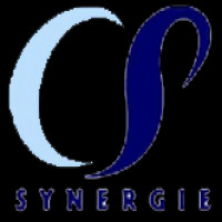 Consult Services Synergie