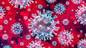 L’état du coronavirus à la date 07-05-2020
