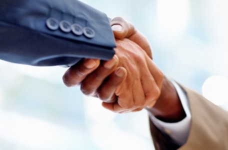 LA mangrove recrute plusieurs stagiaires